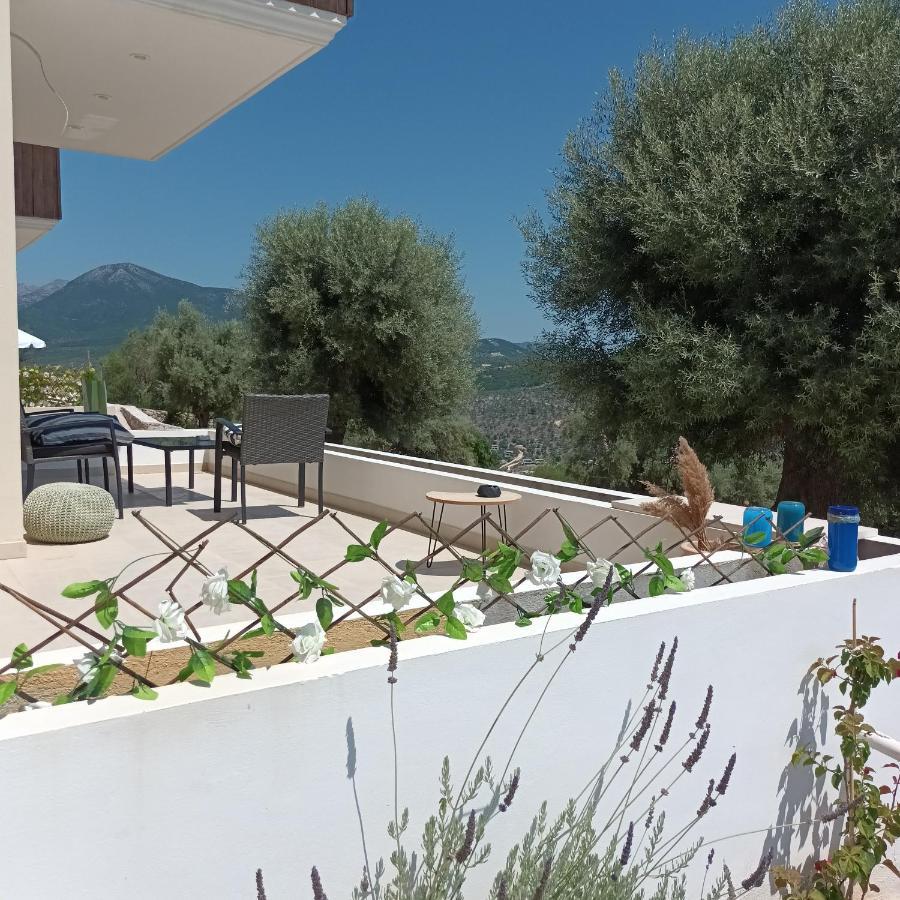 Kotseris Luxury Villas, Jiovanni Villa & Angelina Villa Sivota  Luaran gambar